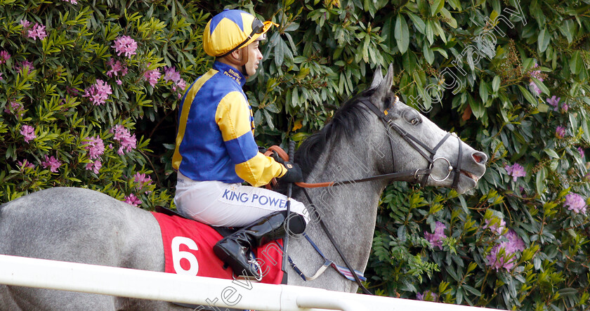 Flippa-The-Strippa-0002 
 FLIPPA THE STRIPPA (Silvestre De Sousa) winner of The Matchbook Betting Podcast National Stakes
Sandown 23 May 2019 - Pic Steven Cargill / Racingfotos.com