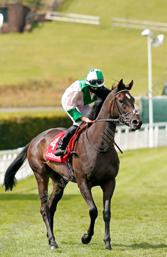 Prado-0001 
 PRADO (Ryan Moore)
Goodwood 29 Aug 2020 - Pic Steven Cargill / Racingfotos.com