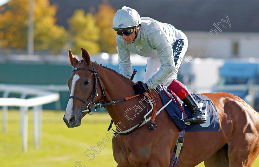 Good-Morals-0001 
 GOOD MORALS (Frankie Dettori)
Yarmouth 18 Oct 2022 - Pic Steven Cargill / Racingfotos.com