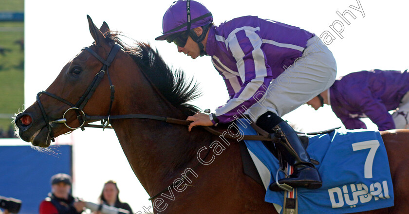 Merrily-0001 
 MERRILY (Wayne Lordan) wins The Godolphin Lifetime Care Oh So Sharp Stakes
Newmarket 11 Oct 2024 - pic Steven Cargill / Racingfotos.com