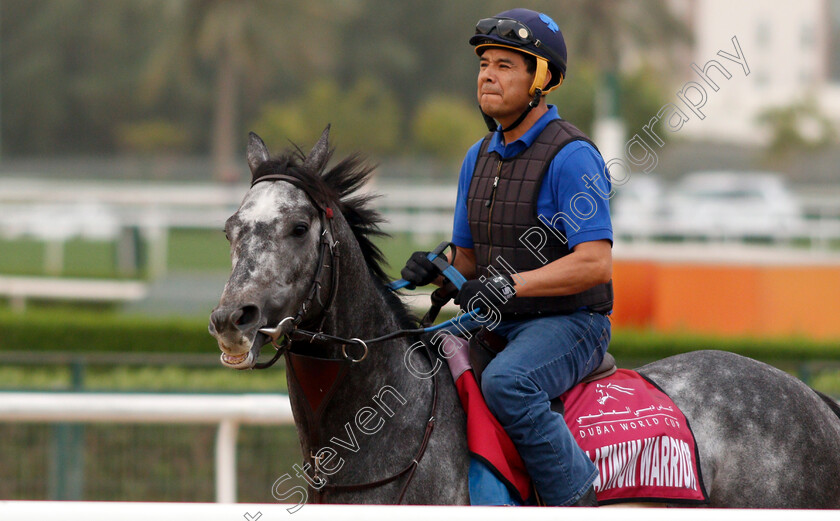 Platinum-Warrior-0001 
 PLATINUM WARRIOR training for the Dubai Gold Cup
Meydan 27 Mar 2019 - Pic Steven Cargill / Racingfotos.com