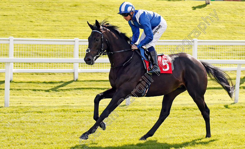 Emaraaty-0002 
 EMARAATY (Jim Crowley) Sandown 1 Sep 2017 - Pic Steven Cargill / Racingfotos.com