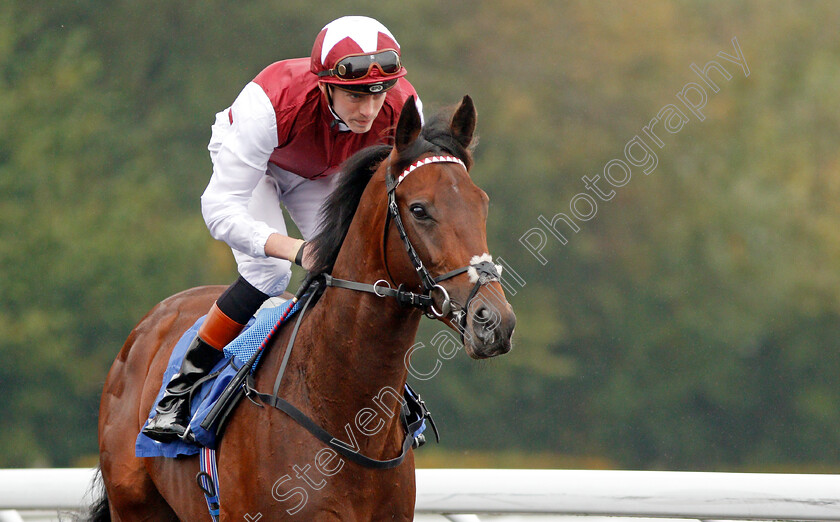 Graffiti-Master-0001 
 GRAFFITI MASTER (James Doyle) winner of The Matchbook British Stallion Studs EBF Novice Stakes Kempton 25 Sep 2017 - Pic Steven Cargill / Racingfotos.com