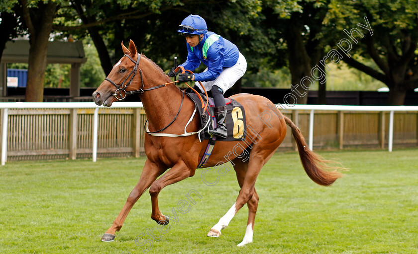 Saxonia-0001 
 SAXONIA (Silvestre De Sousa)
Newmarket 10 Aug 2024 - Pic Steven Cargill / Racingfotos.com