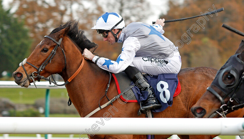 Fayez-0006 
 FAYEZ (Daniel Tudhope) wins The Betway Handicap Lingfield 21 Nov 2017 - Pic Steven Cargill / Racingfotos.com