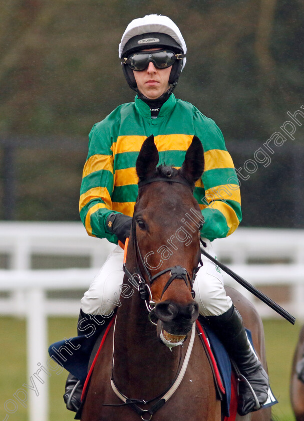 The-Wallpark-0002 
 THE WALLPARK (Mark Walsh)
Ascot 21 Dec 2024 - Pic Steven Cargill / Racingfotos.com