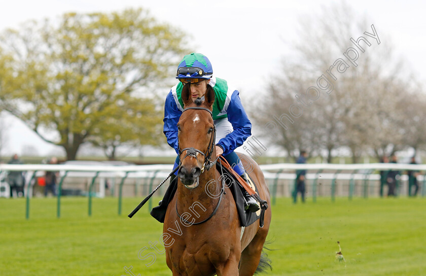 Vafortino-0001 
 VAFORTINO (Benoit de la Sayette)
Newmarket 18 Apr 2023 - Pic Steven Cargill / Racingfotos.com