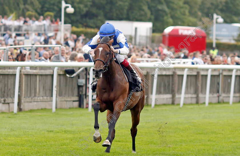 Les-Bleus-0004 
 LES BLEUS (David Egan) wins The British Stallion Studs EBF Restricted Novice Stakes
Newmarket 28 Jul 2023 - Pic Steven Cargill / Racingfotos.com