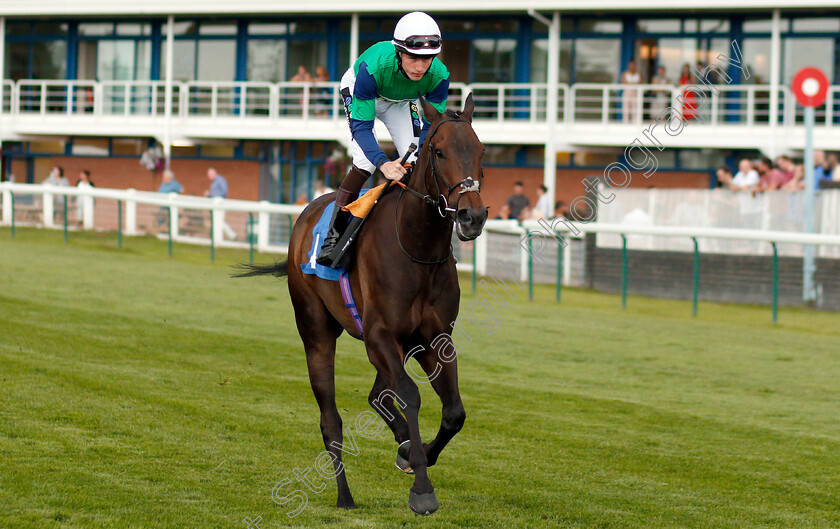 Yellow-Label-0001 
 YELLOW LABEL (Joshua Bryan)
Nottingham 16 Jul 2019 - Pic Steven Cargill / Racingfotos.com