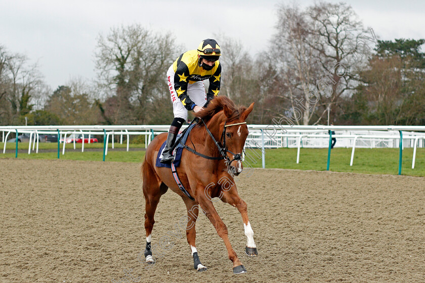 Waldfabel-0001 
 WALDFABEL (Robert Havlin)
Lingfield 6 Feb 2021 - Pic Steven Cargill / Racingfotos.com