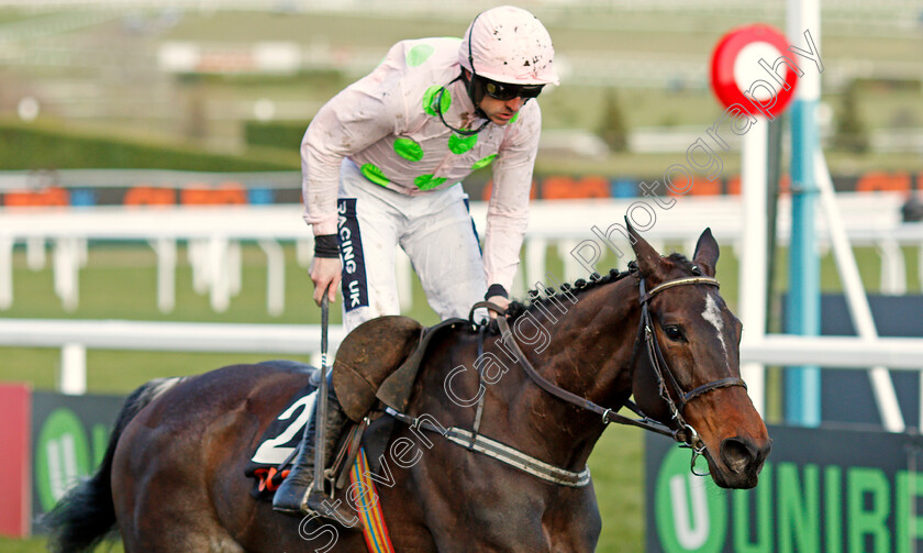 Benie-Des-Dieux-0007 
 BENIE DES DIEUX (Ruby Walsh) wins The OLBG Mares Hurdle Cheltenham 13 Mar 2018 - Pic Steven Cargill / Racingfotos.com