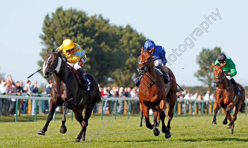 Zack-Mayo-0004 
 ZACK MAYO (left, Silvestre De Sousa) beats HIGH END (centre) in The Dan Hague Yarmouth's Number 1 Bookmaker Handicap Yarmouth 19 Sep 2017 - Pic Steven Cargill / Racingfotos.com