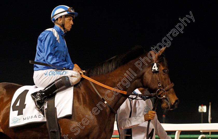 Muarrab-0002 
 MUARRAB (Jim Crowley) Meydan 18 Jan 2018 - Pic Steven Cargill / Racingfotos.com