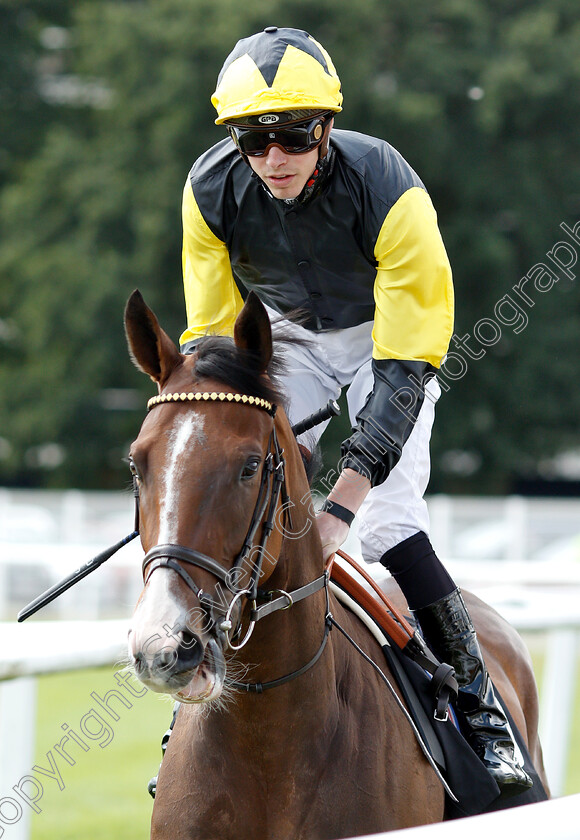 Wejdan-0001 
 WEJDAN (James Doyle) winner of The John Drew Memorial Maiden Fillies Stakes
Newbury 6 Aug 2019 - Pic Steven Cargill / Racingfotos.com