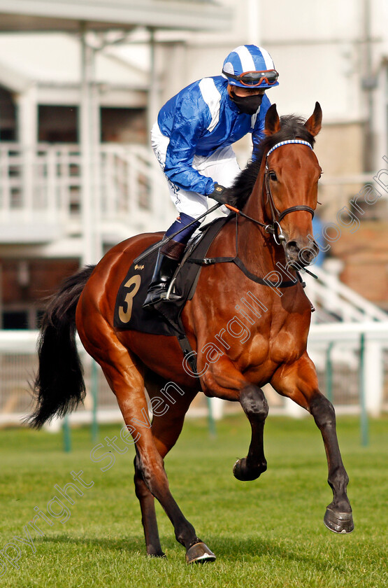 Eshaada-0002 
 ESHAADA (Jim Crowley) winner of The Play 3-2-Win At Mansionbet EBF Maiden Fillies Stakes Div1
Newmarket 9 Oct 2020 - Pic Steven Cargill / Racingfotos.com