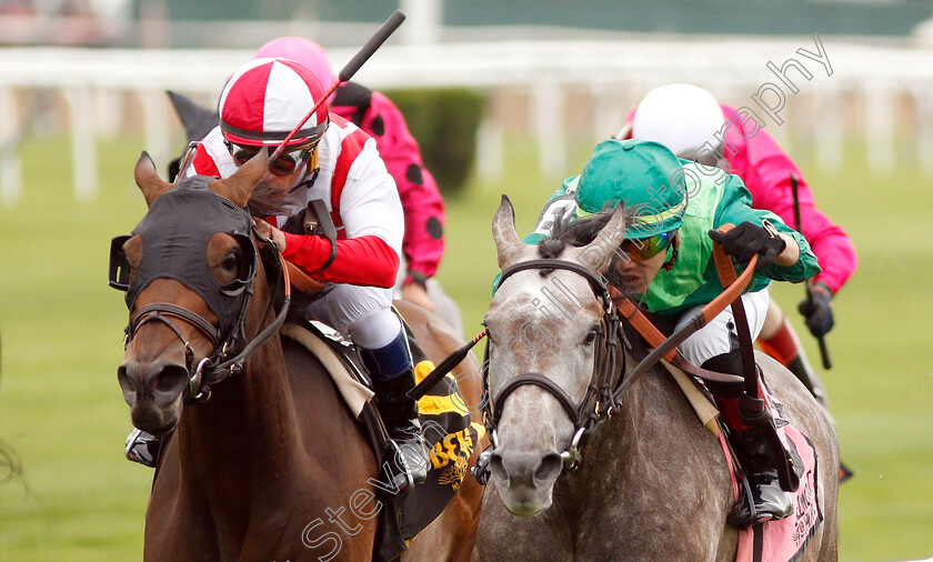 Homerique-0004 
 HOMERIQUE (right, Irad Ortiz) beats COMPETITIONOFIDEAS (left) in The New York Stakes
Belmont Park USA, 7 Jun 2019 - Pic Steven Cargill / Racingfotos.com