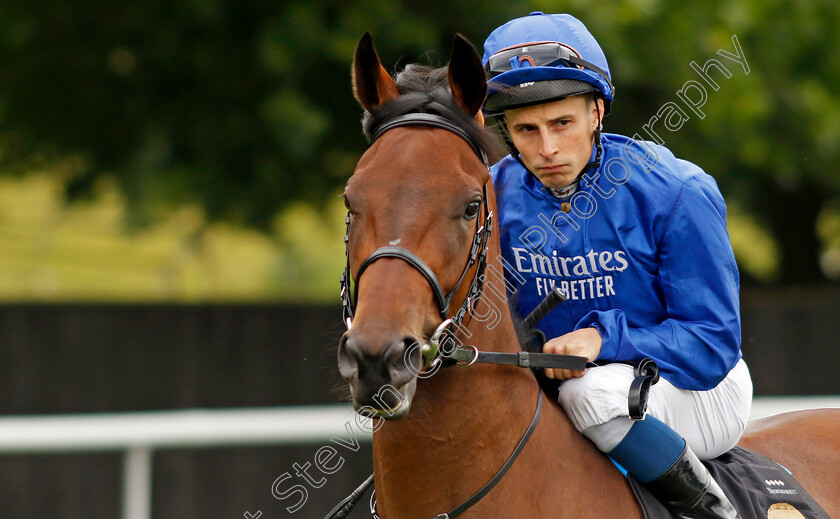 Dance-Sequence-0010 
 DANCE SEQUENCE (William Buick) winner of The Blandford Bloodstock Maiden Fillies Stakes
Newmarket 1 Jul 2023 - Pic Steven Cargill / Racingfotos.com