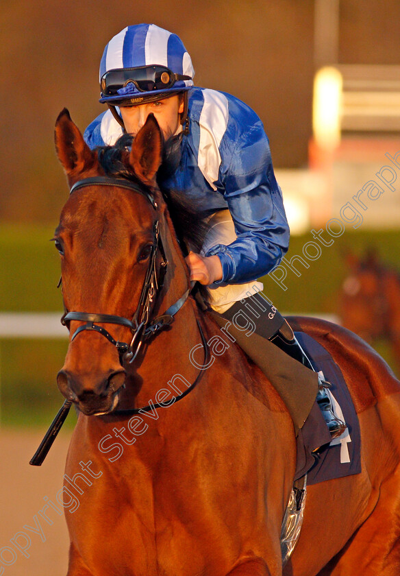 Manaabit-0002 
 MANAABIT (Georgia Cox)
Wolverhampton 3 Jan 2020 - Pic Steven Cargill / Racingfotos.com