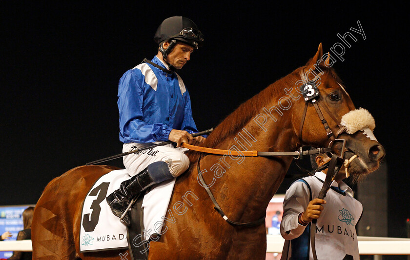 Nawwaar-0001 
 NAWWAAR (Dane O'Neill) Meydan 18 Jan 2018 - Pic Steven Cargill / Racingfotos.com