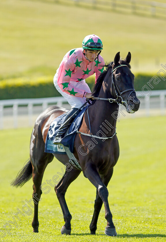 Goldenstatewarrior-0001 
 GOLDENSTATEWARRIOR (Ben Coen)
Goodwood 26 May 2023 - Pic Steven Cargill / Racingfotos.com