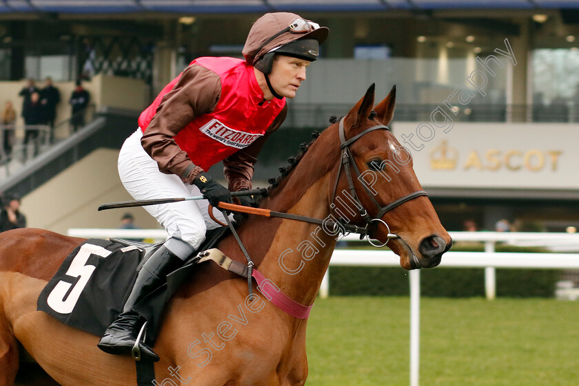 In-d Or-0008 
 IN D'OR (David Maxwell) wins The Betmgm Handicap Chase
Ascot 18 Jan 2025 - Pic Steven Cargill / Racingfotos.com