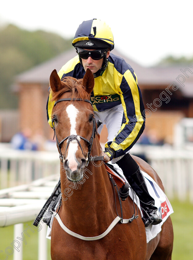 Now-Children-0001 
 NOW CHILDREN (Paul Mulrennan)
York 16 May 2018 - Pic Steven Cargill / Racingfotos.com