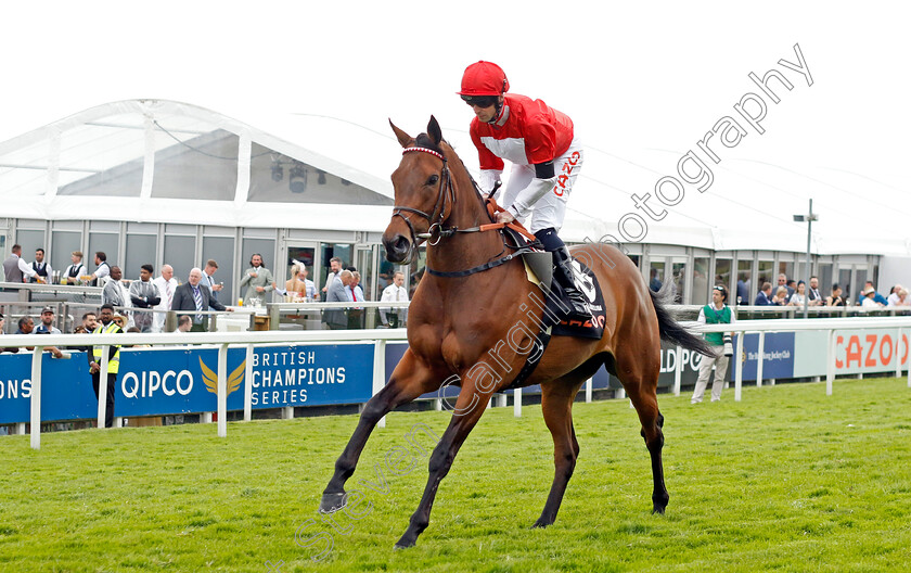 Rogue-Millennium-0001 
 ROGUE MILLENNIUM (Jack Mitchell)
Epsom 3 Jul 2022 - Pic Steven Cargill / Racingfotos.com