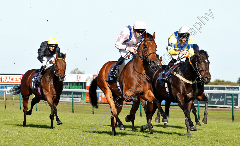 Glorious-Charmer-0004 
 GLORIOUS CHARMER (centre, Jamie Spencer) beats MASTER MATT (right) in The Grosvenor Casino Of Great Yarmouth Nursery
Yarmouth 23 Oct 2018 - Pic Steven Cargill / Racingfotos.com