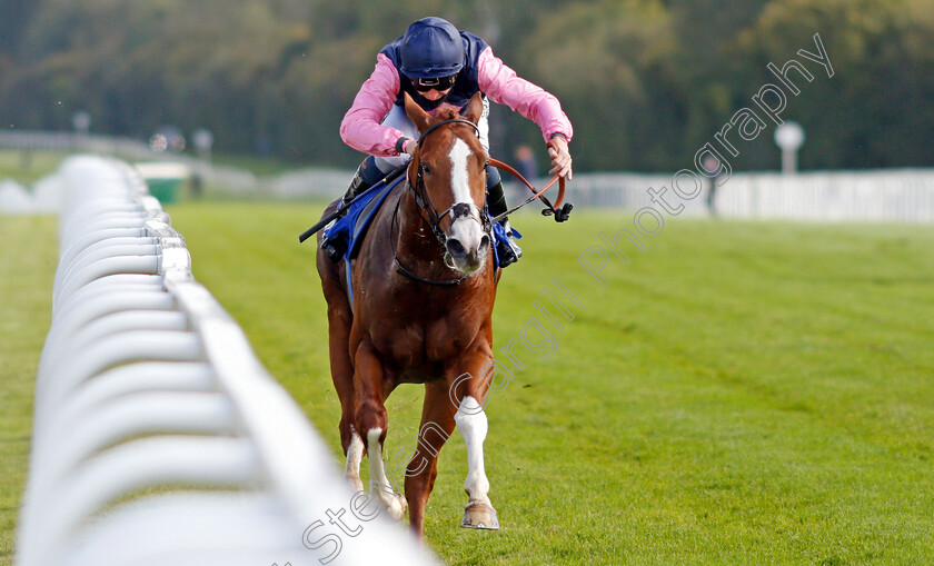 Autumn-Twilight-0003 
 AUTUMN TWILIGHT (Kieran Shoemark) wins The Byerley Stud British EBF Novice Stakes Div1
Salisbury 1 Oct 2020 - Pic Steven Cargill / Racingfotos.com