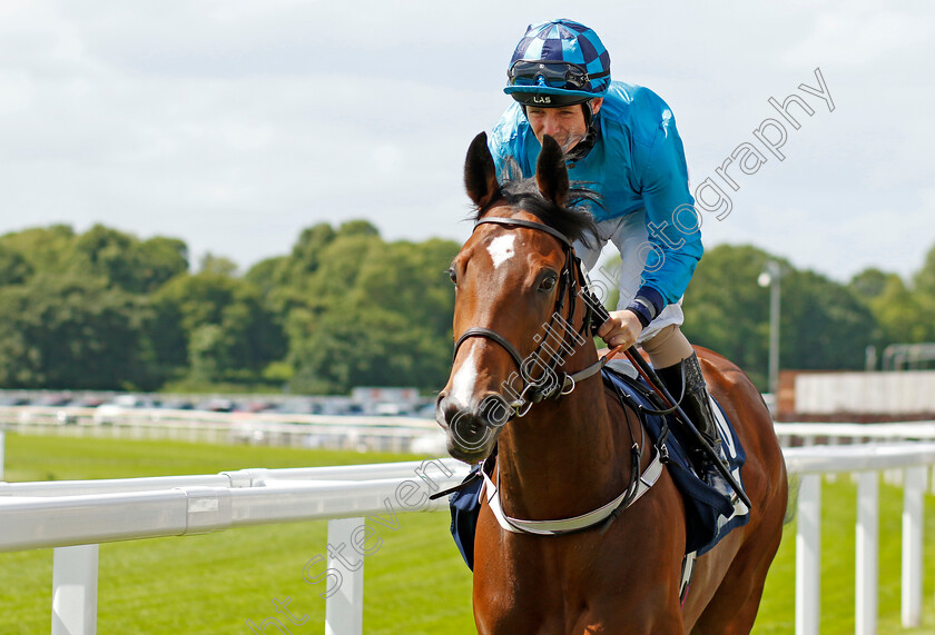 Makarova 
 MAKAROVA (Kieran O'Neill)
York 10 Jun 2022 - Pic Steven Cargill / Racingfotos.com