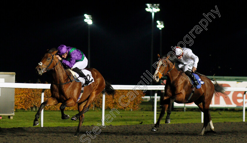 Eastern-Sheriff-0003 
 EASTERN SHERIFF (James Doyle) beats HURRICANE ALEX (right) in The 100% Profit Boost At 32redsport.com Novice Median Auction Stakes
Kempton 20 Nov 2019 - Pic Steven Cargill / Racingfotos.com