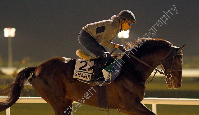 Shahryar-0001 
 SHAHRYAR training for the Sheema Classic
Meydan, Dubai, 21 Mar 2023 - Pic Steven Cargill / Racingfotos.com