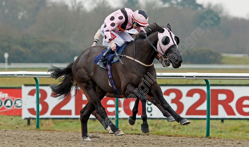 Black-Dave-0002 
 BLACK DAVE (Fran Berry) wins The Betway Classified Selling Stakes Lingfield 20 Dec 2017 - Pic Steven Cargill / Racingfotos.com