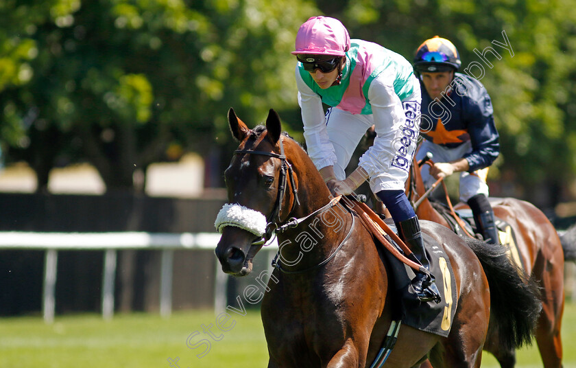 Leadman 
 LEADMAN (David Probert)
Newmarket 8 Jul 2022 - Pic Steven Cargill / Racingfotos.com