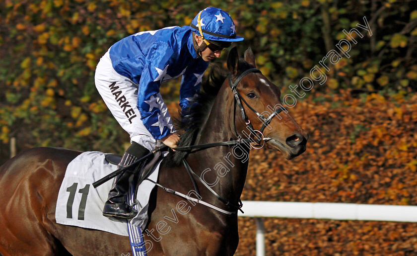 Sena-0001 
 SENA (Tom Marquand)
Kempton 4 Dec 2019 - Pic Steven Cargill / Racingfotos.com