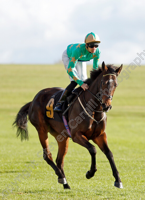 Fairy-Cakes 
 FAIRY CAKES (Charles Bishop)
Newmarket 30 Oct 2021 - Pic Steven Cargill / Racingfotos.com