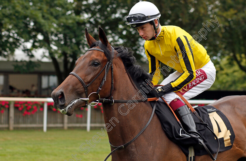 Craylands-0001 
 CRAYLANDS (Oisin Murphy)
Newmarket 13 Jul 2019 - Pic Steven Cargill / Racingfotos.com