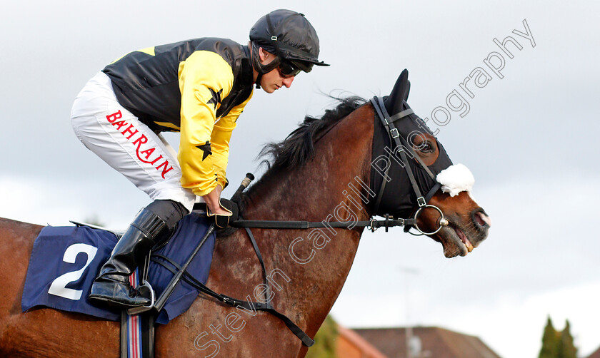 United-Front-0001 
 UNITED FRONT (Tom Marquand) winner of The Betway Handicap
Lingfield 1 Dec 2021 - Pic Steven Cargill / Racingfotos.com