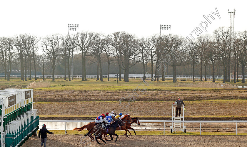 Miniature-Daffodil-0002 
 Horses break from the stalls for the opening race at Chelmsford 6 Apr 2018 - Pic Steven Cargill / Racingfotos.com