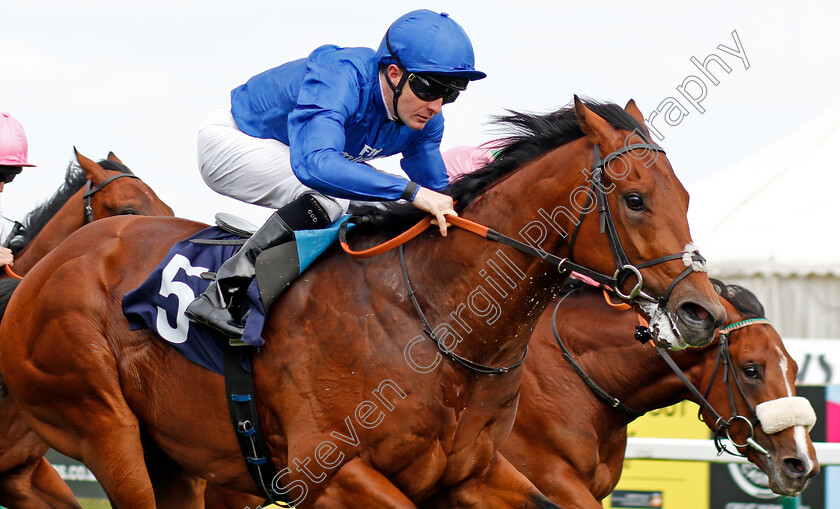 Imperial-Past-0006 
 IMPERIAL PAST (Colm O'Donoghue) wins The Hobgoblin Legendary Ruby Ale EBF Maiden Stakes Div1 Yarmouth 20 Sep 2017 - Pic Steven Cargill / Racingfotos.com