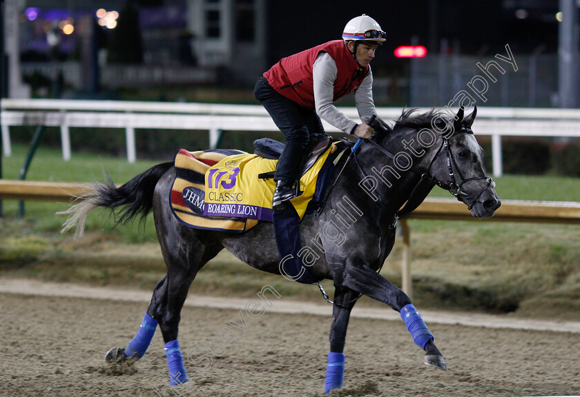 Roaring-Lion-0005 
 ROARING LION exercising ahead of The Breeders' Cup Classic
Churchill Downs USA 30 Oct 2018 - Pic Steven Cargill / Racingfotos.com