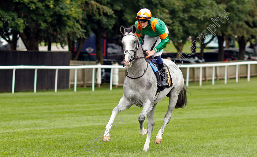 Luas-0001 
 LUAS (Daniel Muscutt)
Newmarket 28 Jul 2023 - Pic Steven Cargill / Racingfotos.com