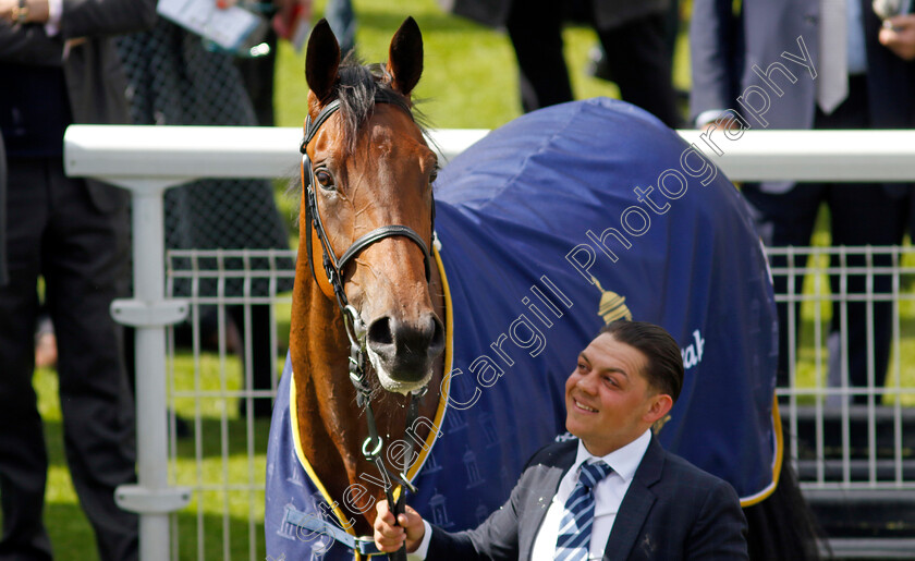 Emily-Upjohn-0016 
 EMILY UPJOHN after The Tattersalls Musidora Stakes
York 11 May 2022 - Pic Steven Cargill / Racingfotos.com