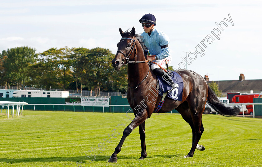 Sea-Eagle-0001 
 SEA EAGLE (Tom Marquand)
Yarmouth 14 Sep 2022 - Pic Steven Cargill / Racingfotos.com