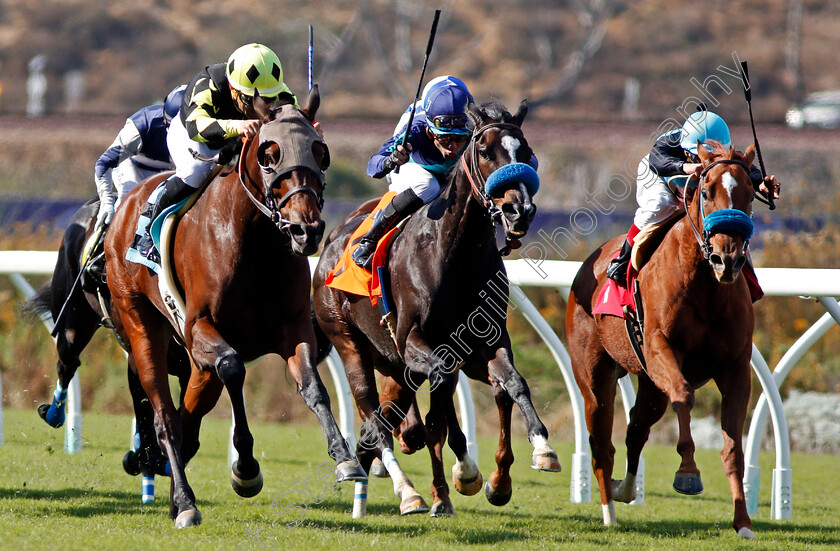 Salsita-0012 
 SALSITA (centre, Joel Rosario) wins Allowance Claimer at Del Mar USA 2 Nov 2017 - Pic Steven Cargill / Racingfotos.com