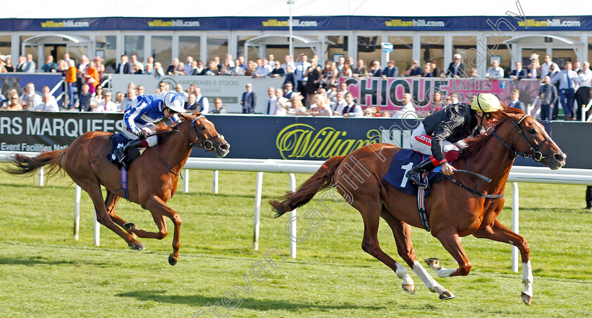 Stradivarius-0007 
 STRADIVARIUS (Frankie Dettori) beats CLEONTE (left) in The Magners Rose Doncaster Cup
Doncaster 13 Sep 2019 - Pic Steven Cargill / Racingfotos.com