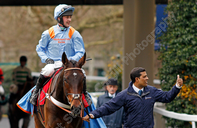 Divine-Spear-0010 
 DIVINE SPEAR (Nico de Boinville) after The Stella Artois Novices Limited Handicap Chase Ascot 22 Dec 2017 - Pic Steven Cargill / Racingfotos.com