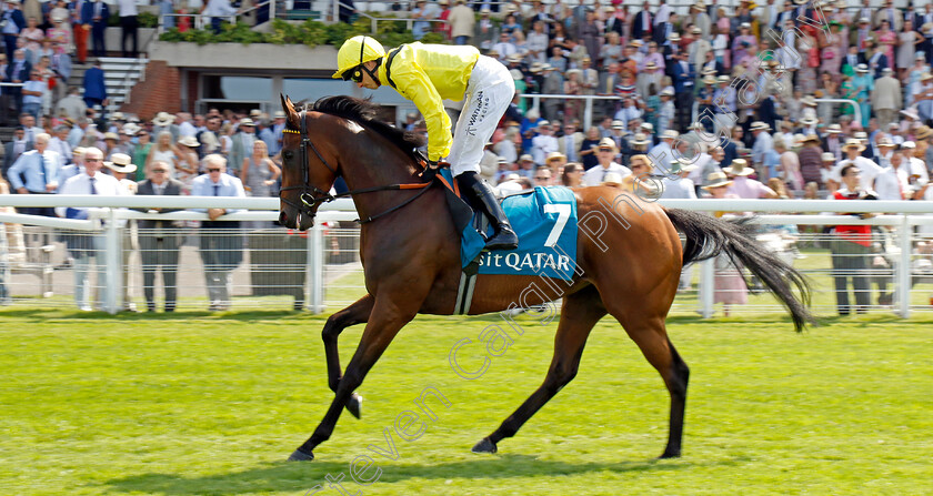 Jabaara-0001 
 JABAARA (James Doyle)
Goodwood 31 Jul 2024 - Pic Steven Cargill / Racingfotos.com