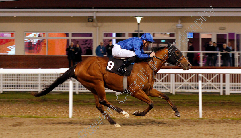 Story-Of-Light-0005 
 STORY OF LIGHT (James Doyle) wins The Bet toteplacepot At totesport.com Novice Stakes
Chelmsford 19 Nov 2019 - Pic Steven Cargill / Racingfotos.com