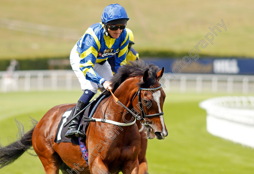 Two-Past-Eight-0001 
 TWO PAST EIGHT (Liam Keniry)
Goodwood 27 Aug 2022 - Pic Steven Cargill / Racingfotos.com